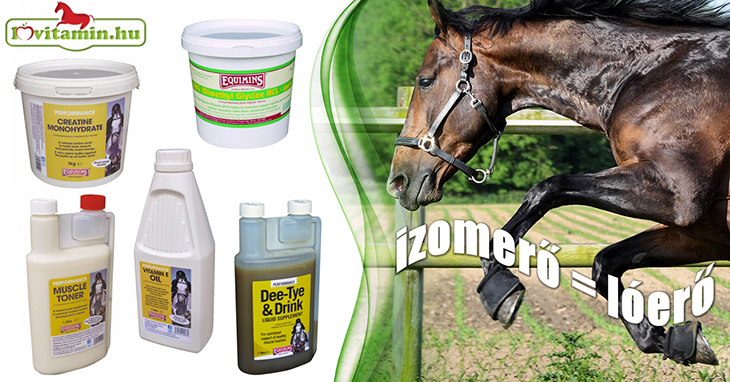 Az Equimins izomtömeg növelő termékei segítenek abban, hogy lovad jól izmolt legyen