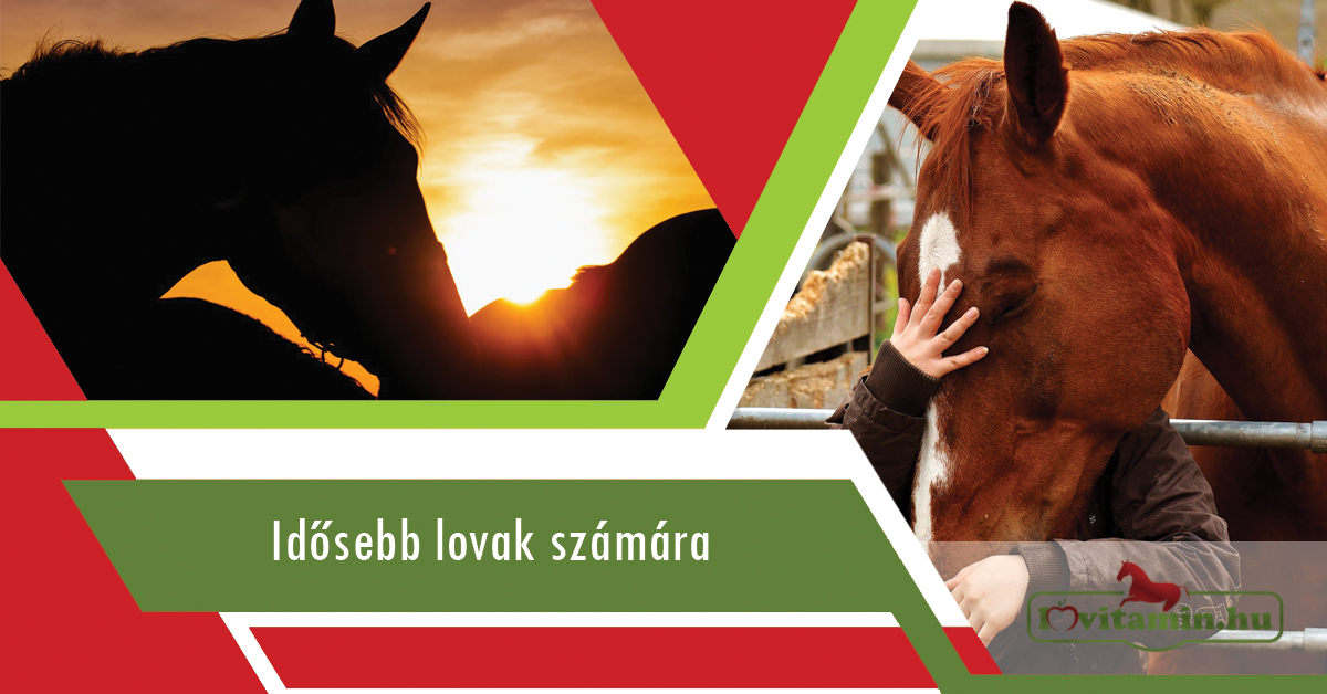 gitt. ízületi kezelés
