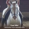 ‘Cool mix’ zabmentes müzli alaptakarmány