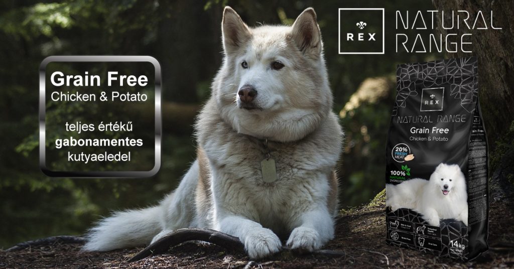 Grain Free gabonamentes kutyaeledel