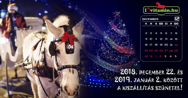 December 22. és január 2. között a kiszállítás szünetel