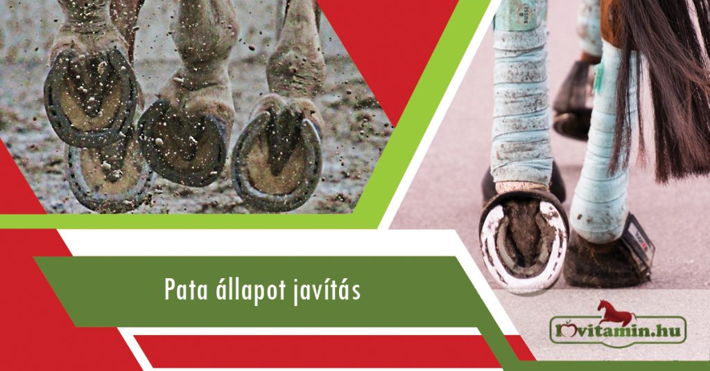 Termékek a pata állapotának javítására a Lovitamin.hu kínálatában.