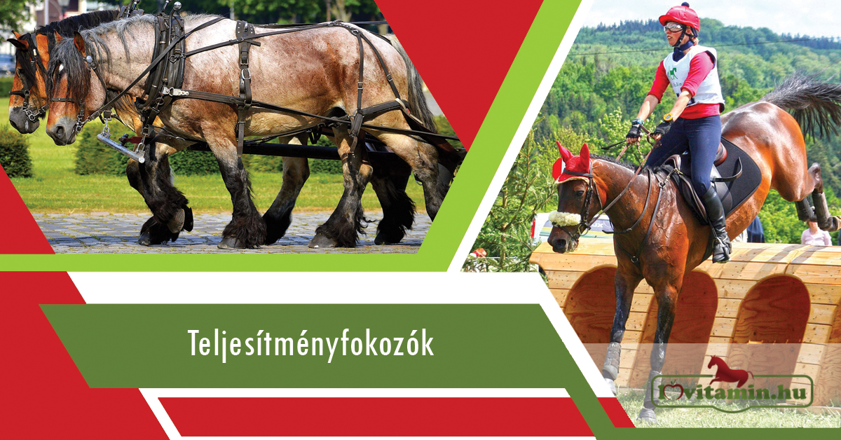 Teljesítményfokozó termékek a Lovitamin.hu kínálatában.