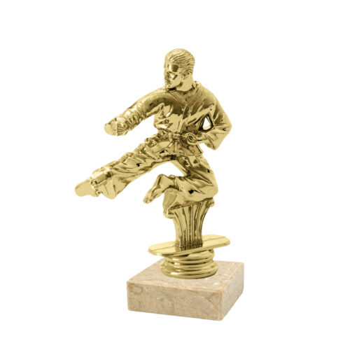 Karate figura 041