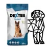REX DEXTER Complete szárazeledel felnőtt kutyáknak - Image 3