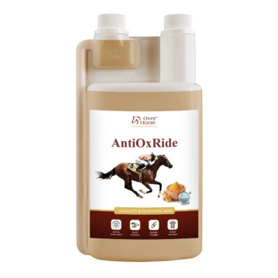 AntiOx Ride 1l