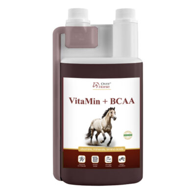VitaMin + BCAA 1l