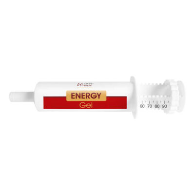 Energy Gel 100 ml – energia paszta lovaknak