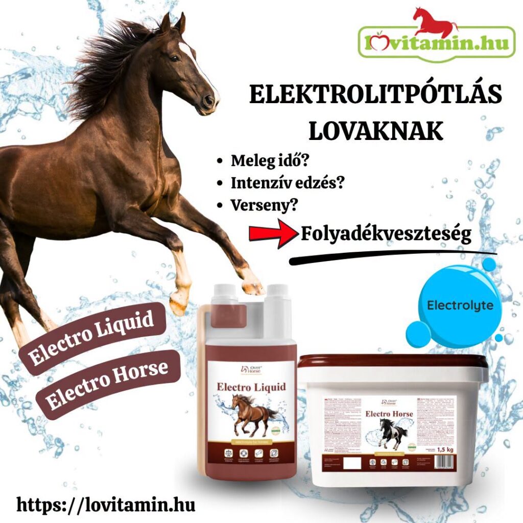 Elektrolitok a Lóvitamin.hu kínálatában